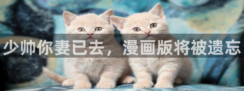 漫蛙长什么样