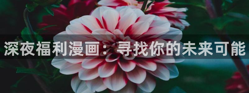 漫蛙韩漫画官网：深夜福利漫画：寻找你的未来可能
