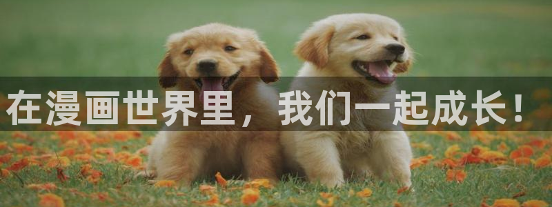 漫蛙漫画官网进入：在漫画世界里，我们一起成长！