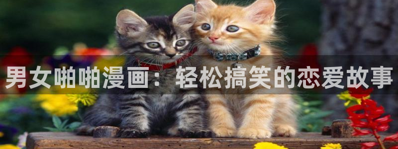漫蛙2漫：男女啪啪漫画：轻松搞笑的恋爱故事