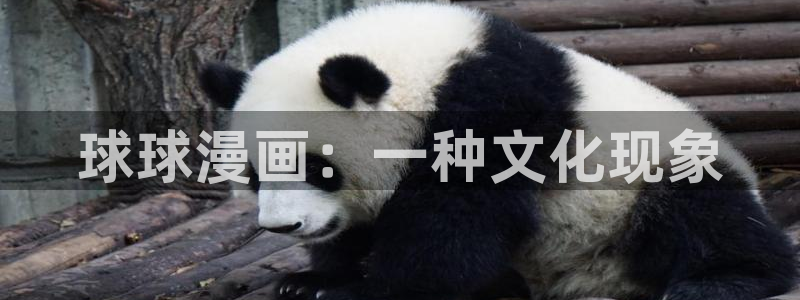 漫蛙漫画官方版正版入口网页下载：球球漫画：一种文化现象