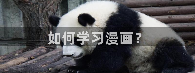 漫蛙网页版漫画：如何学习漫画？