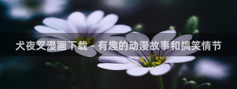 漫蛙网页入口在哪：犬夜叉漫画下载 - 有趣的动漫故事和搞笑情节