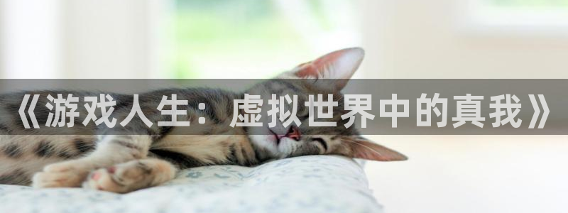 漫蛙下拉式免费阅读：《游戏人生：虚拟世界中的真我》