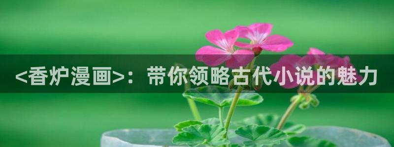 漫蛙枯萎之花的眼泪：<香炉漫画>：带你领略古代小说的魅力