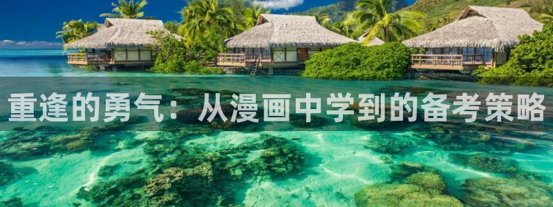 漫蛙漫画(网页入口)_漫蛙manwaw官网：重逢的勇气：从漫画中学到的备考策略