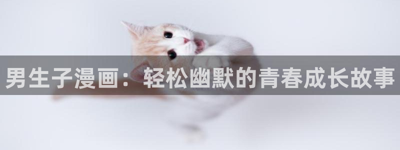 漫蛙如何登陆：男生子漫画：轻松幽默的青春成长故事
