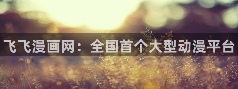 漫蛙漫画免费官网进入：飞飞漫画网：全国首个大型动漫平台