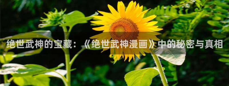 bootywurk漫画漫蛙叫什么：绝世武神的宝藏：《绝世武神漫画》中的秘密与真相