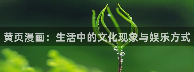 漫蛙免费网页版：黄页漫画：生活中的文化现象与娱乐方式