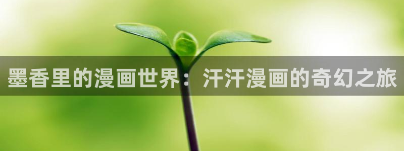 漫蛙21.18：墨香里的漫画世界：汗汗漫画的奇幻之旅