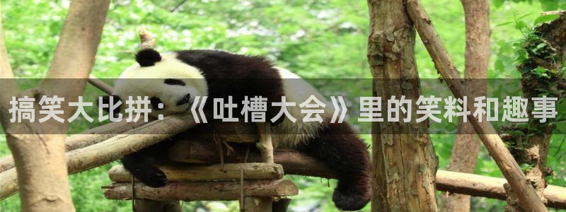 漫蛙入口页面：搞笑大比拼：《吐槽大会》里的笑料和趣事