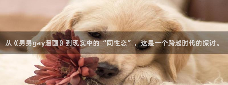 漫蛙app官网下载：从《男男gay漫画》到现实中的“同性恋”，这是一个跨越时代的探讨。